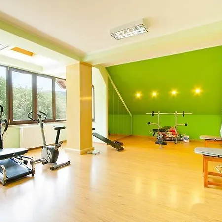 Guest house Pensiunea Iulia Star Baile Olanesti