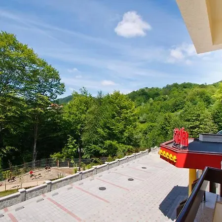 Guest house Pensiunea Iulia Star
