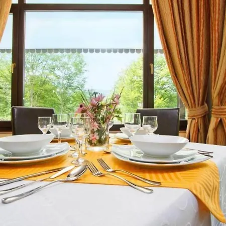 Guest house Pensiunea Iulia Star *